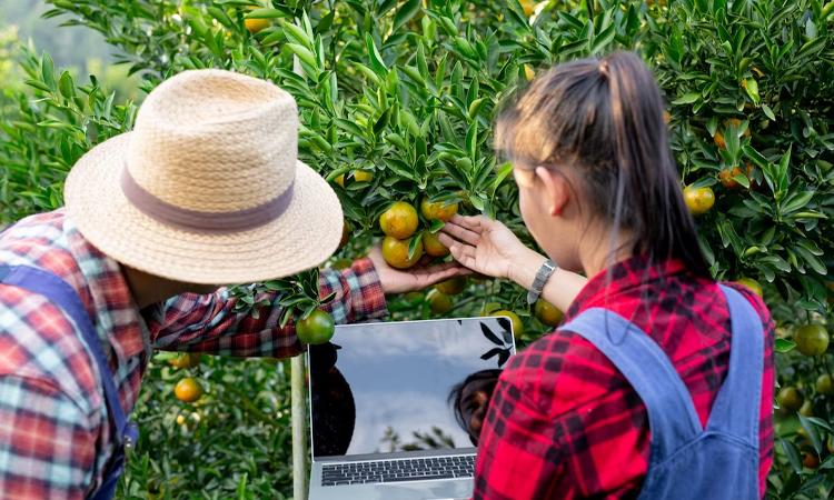 agri-food-pilot-project